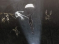 Bayonetta : many images