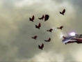 Bayonetta : many images