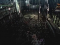 Bayonetta : many images
