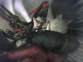Bayonetta : many images
