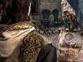 Bayonetta : nouvelles images
