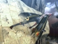 Bayonetta : nouvelles images