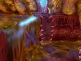 Images Space Chimps