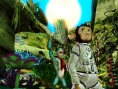 Images Space Chimps