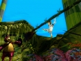 Images Space Chimps