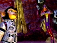 Images Space Chimps