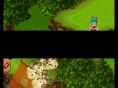 Dragon Ball DS : plus d'images