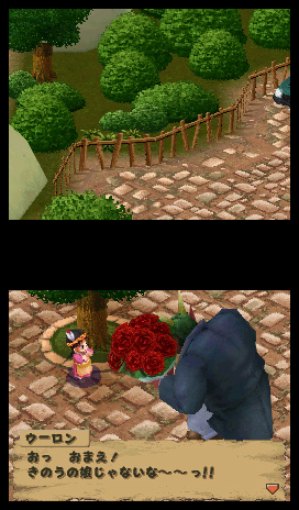 Dragon Ball DS : plus d'images