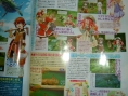 Rune Factory Frontier annoncé sur Wii