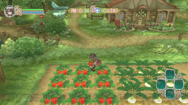 Rune Factory Wii : des images