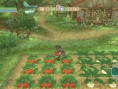 Rune Factory Wii : des images