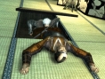 Tenchu 4 : encore une vidéo