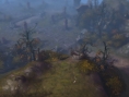 Vidéo Diablo III