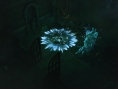 Diablo III : images, vidéo et infos