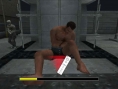 Dead Rising Wii : des images avant la date fatidique