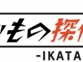 Ikamono Tantei enquête en images