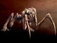 Pictures and artworks for THoTD : Overkill