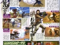 Devil Kings : Battle Heroes screenshots