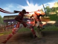Devil Kings : Battle Heroes s'affiche