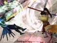 Devil Kings : Battle Heroes s'affiche