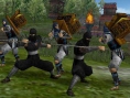 Devil Kings : Battle Heroes s'affiche