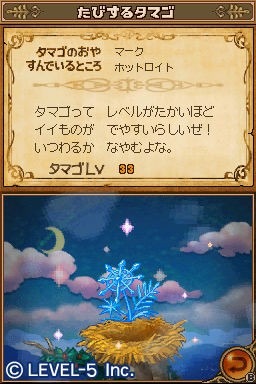 Vision Level-5: images Ninokuni DS