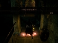 Demon's Souls s'impose en images