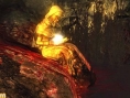 Demon's Souls nous livre de nouveaux visuels