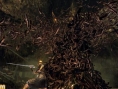 Demon's Souls nous livre de nouveaux visuels