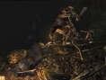 Demon's Souls nous livre de nouveaux visuels