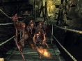 Demon's Souls nous livre de nouveaux visuels