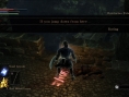 Demon's Souls : quelques images en attendant