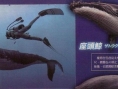 Endless Ocean 2: new images