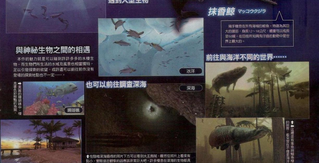 Endless Ocean 2: new images