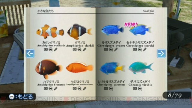 Endless Ocean 2: new images