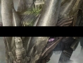 Blood of Bahamut: new images