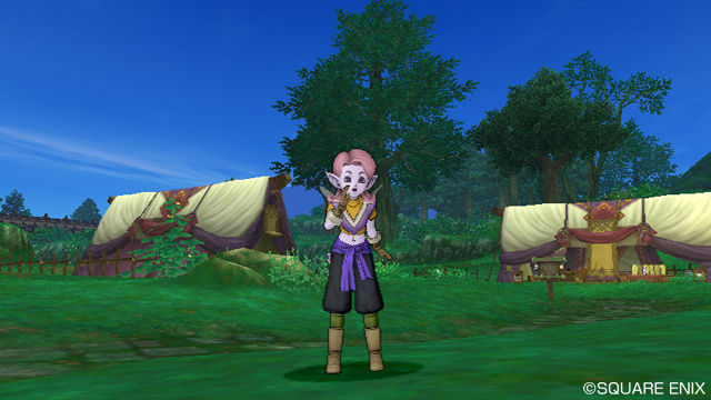 Dragon Quest X : le territoire des elfes