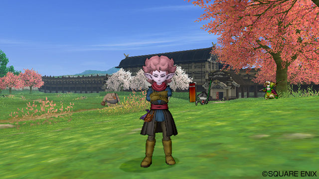 Dragon Quest X : le territoire des elfes
