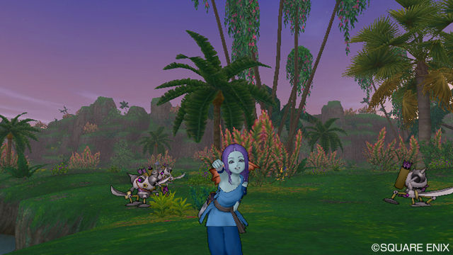 Dragon Quest X continue de se dévoiler