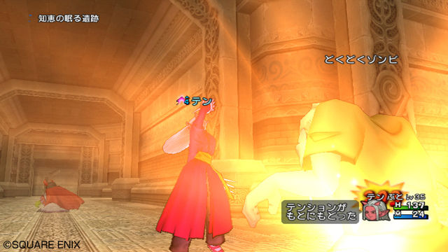 Screens Dragon Quest X