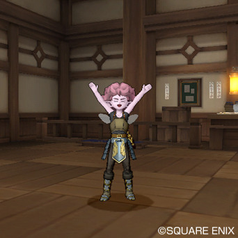 Screens Dragon Quest X