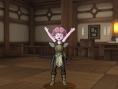 Screens Dragon Quest X