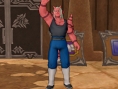 Screens Dragon Quest X