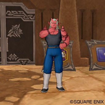 Screens Dragon Quest X
