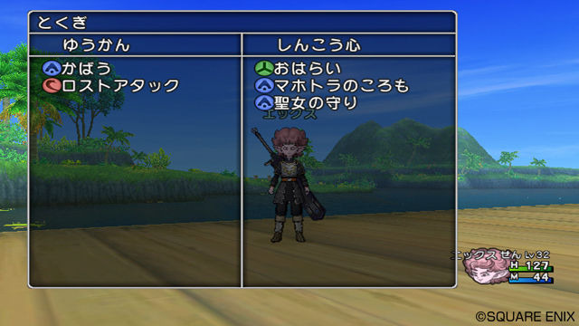 Screens Dragon Quest X