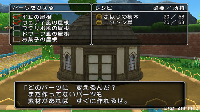 Dragon Quest X : maison et voleur