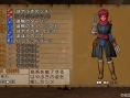 Dragon Quest X : maison et voleur