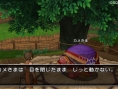 Dragon Quest X : nouvelles images