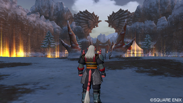 Un appareil photo pour Dragon Quest X