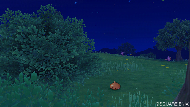 Un appareil photo pour Dragon Quest X